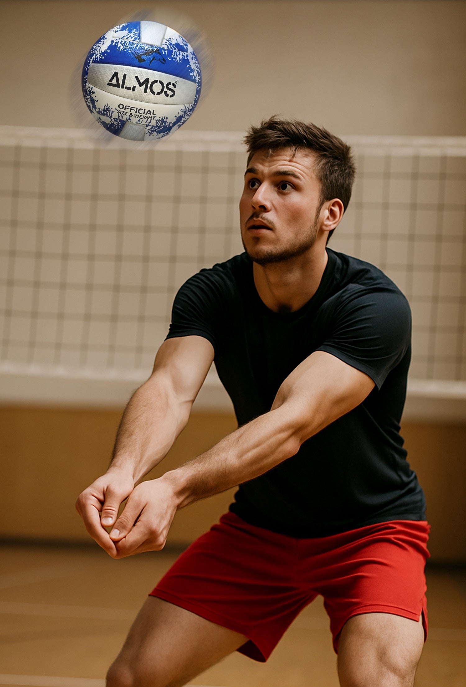 Volleyball